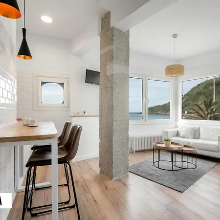 Ssforyou/ Zurriola Apartment *